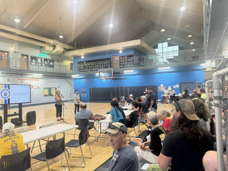 Recap of Leslie Park Design Meeting 8/7/2025